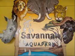 MSC Virtuosa Savannah  Aquapark picture