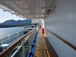 Majestic Princess Jogging Track picture