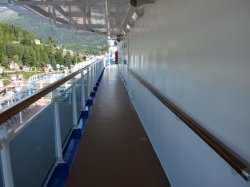 Majestic Princess Jogging Track picture