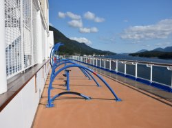 Majestic Princess Jogging Track picture