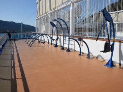 Majestic Princess Jogging Track picture