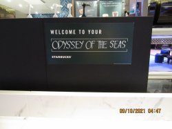 Odyssey of the Seas Starbucks picture