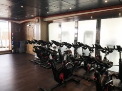 Carnival Miracle Fitness Center picture