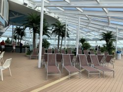 Odyssey of the Seas Solarium picture