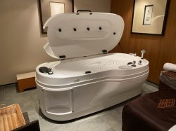 Norwegian Gem Spa & Salon picture