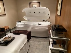 Norwegian Gem Spa & Salon picture