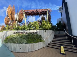 Rooftop Garden picture