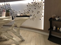 Celebrity Millennium Spa and Fitness Center picture