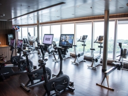 Nieuw Statendam Fitness Center picture