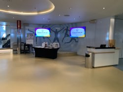 Oasis of the Seas Vitality at Sea Spa & Fitness Center picture