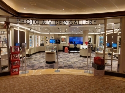 Photo & Video Gallery picture