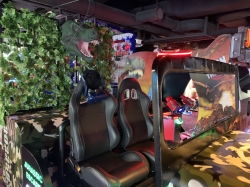 Norwegian Escape Video Arcade picture