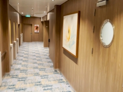 Wonder of the Seas Vitality at Sea Spa and Fitness Center picture