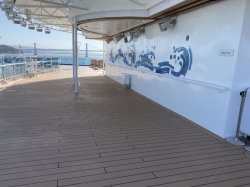 Discovery Princess Sun Deck picture