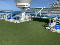 The Greens picture The Greens picture