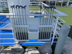 The Greens picture The Greens picture