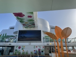 Odyssey of the Seas Outdoor Pool picture