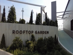 Celebrity Beyond Rooftop Garden picture