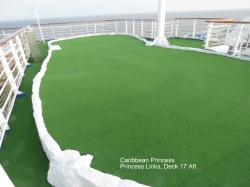 Caribbean Princess Princess Links picture