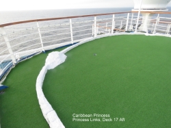 Caribbean Princess Princess Links picture