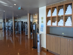 Norwegian Epic Pulse Fitness Center picture