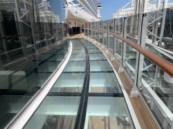 MSC Seashore Infinity Bridge picture