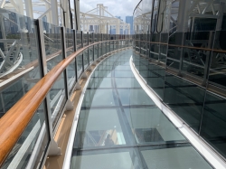 MSC Seashore Infinity Bridge picture