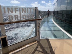 MSC Seashore Infinity Bridge picture