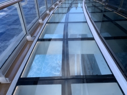 MSC Seashore Infinity Bridge picture