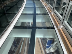 MSC Seashore Infinity Bridge picture