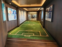 MSC Seashore Sports Bar picture