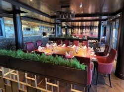 MSC Seashore Butchers Cut picture