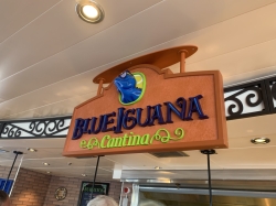 Carnival Mardi Gras Blue Iguana Cantina picture