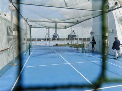 Paddle Tennis picture