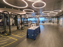 MSC Gym picture