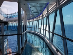 Regal Princess SeaWalk picture