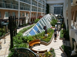 Allure of the Seas Central Park picture