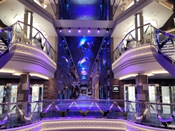 MSC Euribia Galleria Euribia picture