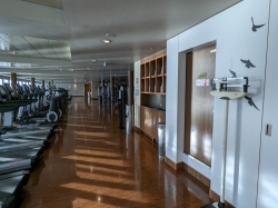 Norwegian Epic Pulse Fitness Center picture