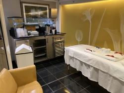 Liberty of the Seas Vitality at Sea Spa picture