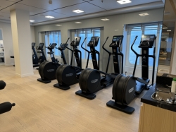 Viking Mars Fitness Center picture