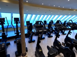 Carnival Venezia Fitness Center picture