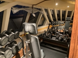 Carnival Venezia Fitness Center picture