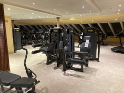 Carnival Venezia Fitness Center picture