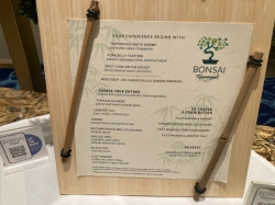 Carnival Venezia Bonsai Sushi picture