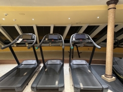 Carnival Venezia Fitness Center picture