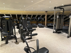 Carnival Venezia Fitness Center picture