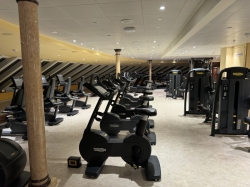 Carnival Venezia Fitness Center picture