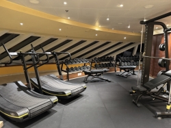 Carnival Venezia Fitness Center picture