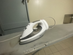 Carnival Dream Ironing picture